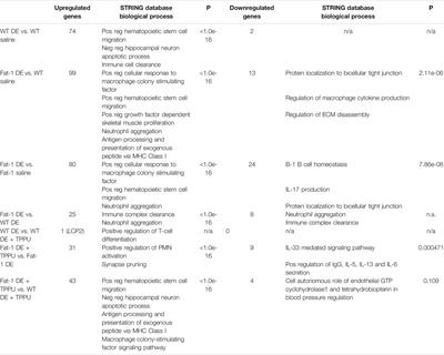 Sex-Specific Differences in Resolution of Airway Inflammation in Fat-1 Transgenic Mice Following Repetitive Agricultural Dust Exposure